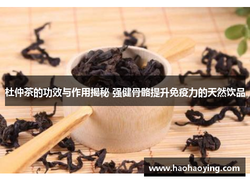 杜仲茶的功效与作用揭秘 强健骨骼提升免疫力的天然饮品