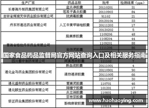 国家食品药品监督局官方网站查询入口及相关服务指南