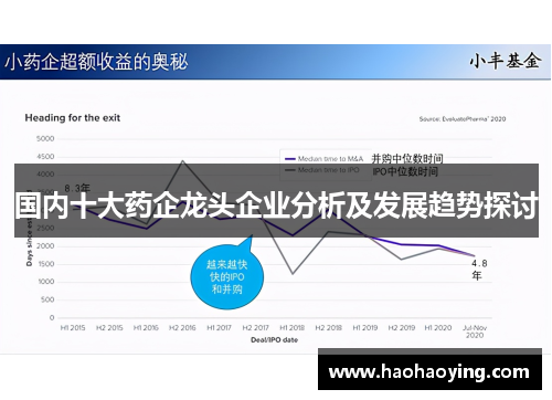 国内十大药企龙头企业分析及发展趋势探讨